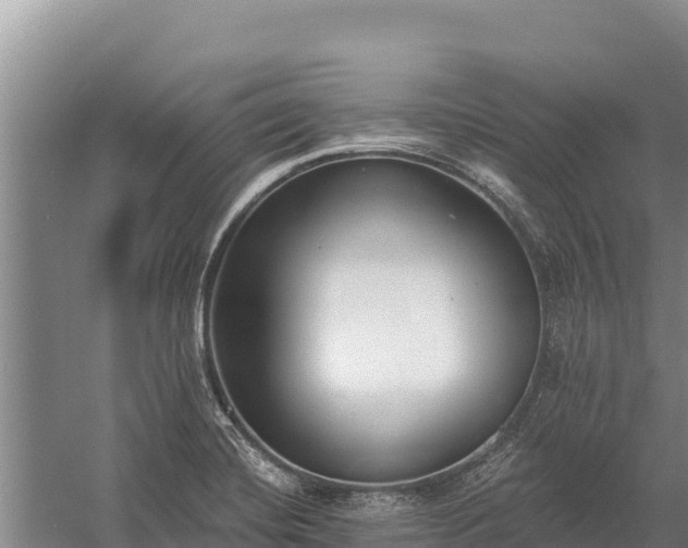 X0000058811420200510071716