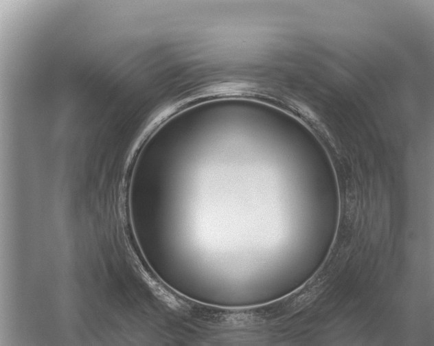 X0000058811421200510071716