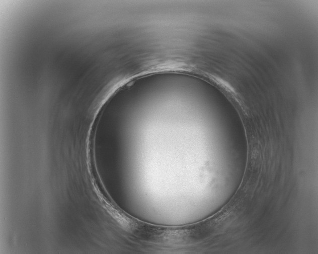 X0000058811423200510071716