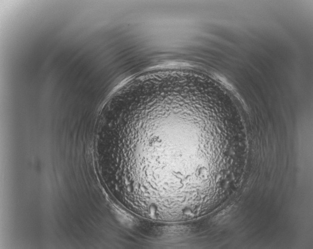 X0000058811425200510071716