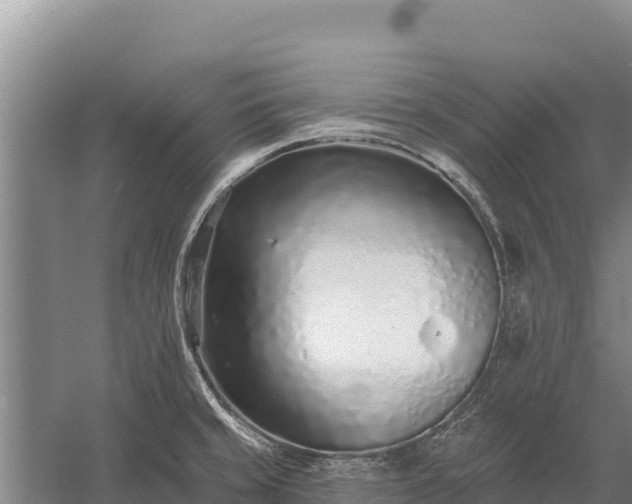 X0000058811429200510071716