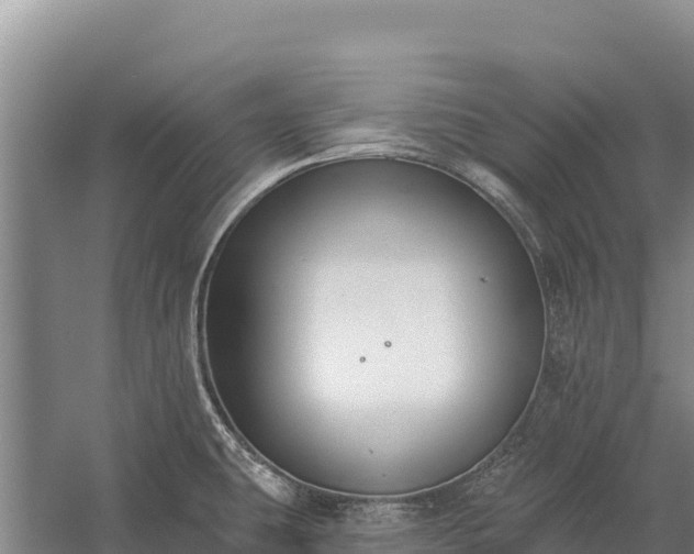 X0000058811431200510071716