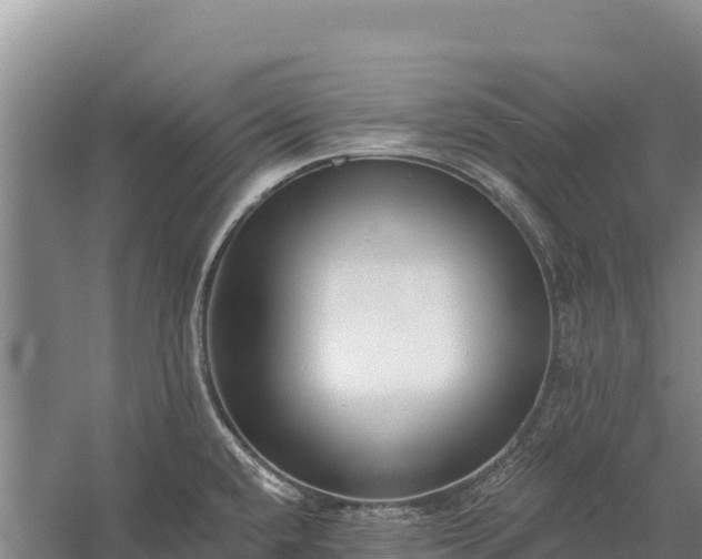 X0000058811432200510071716