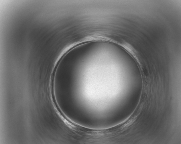 X0000058811438200510071716