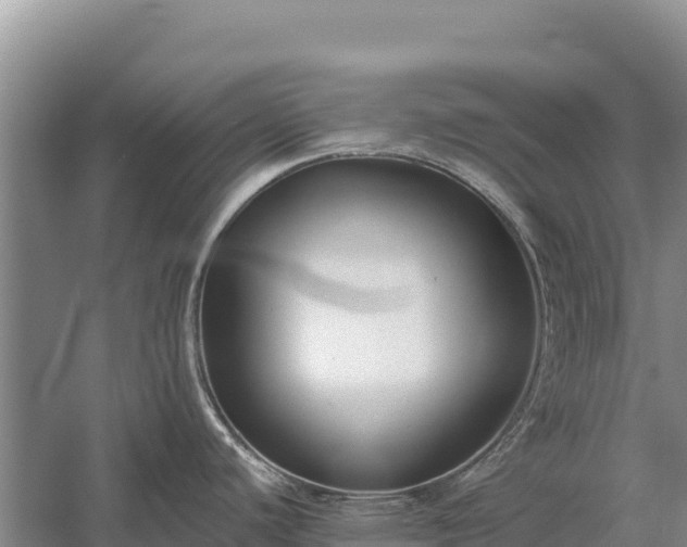 X0000058811440200510071716