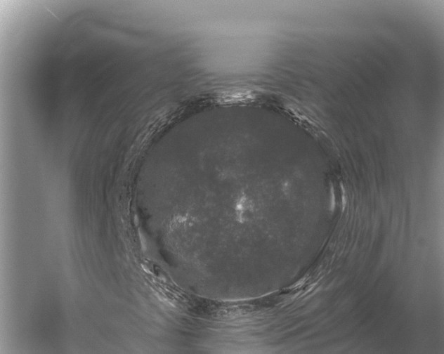 X0000058811441200510071716