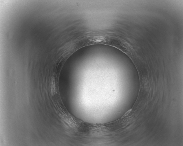 X0000058811442200510071716