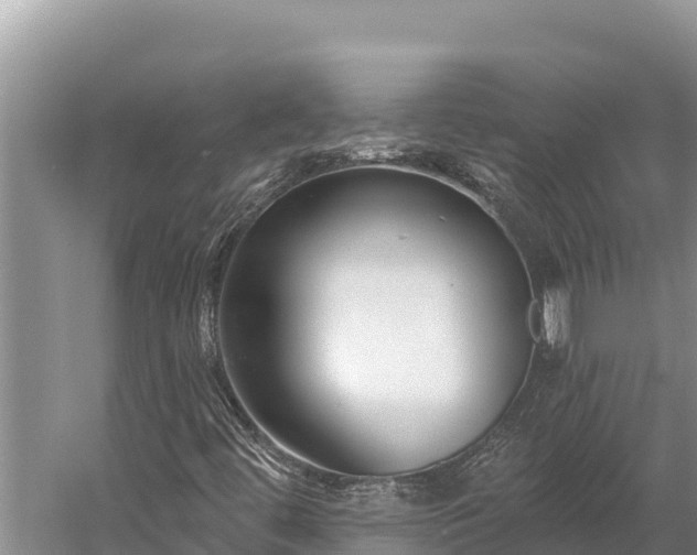 X0000058811444200510071716