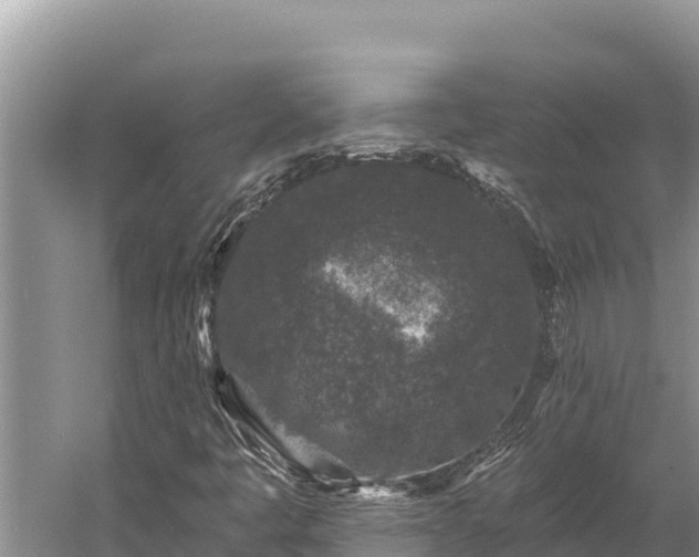 X0000058811445200510071715