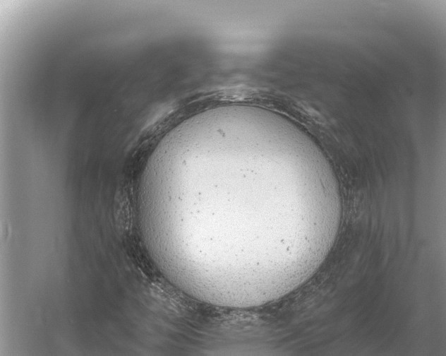 X0000058811446200510071715