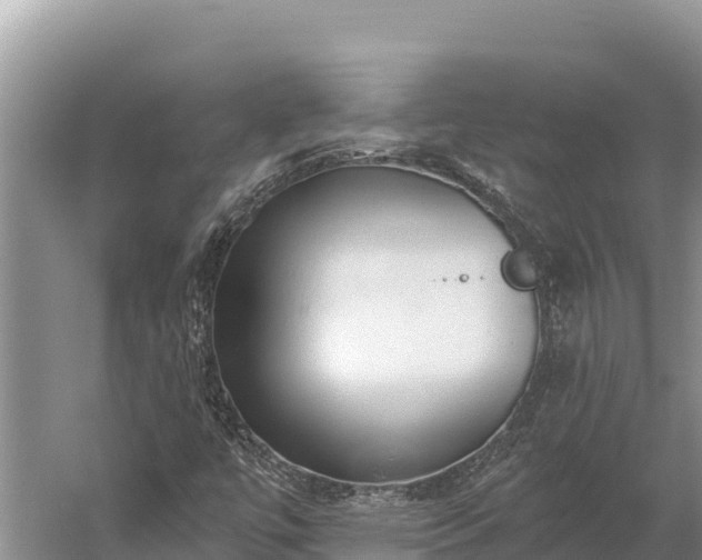 X0000058811447200510071715