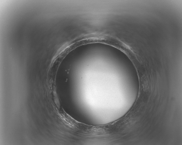 X0000058811448200510071715