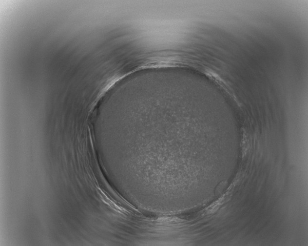 X0000058811449200510071715