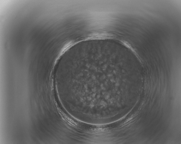 X0000058811459200510071715