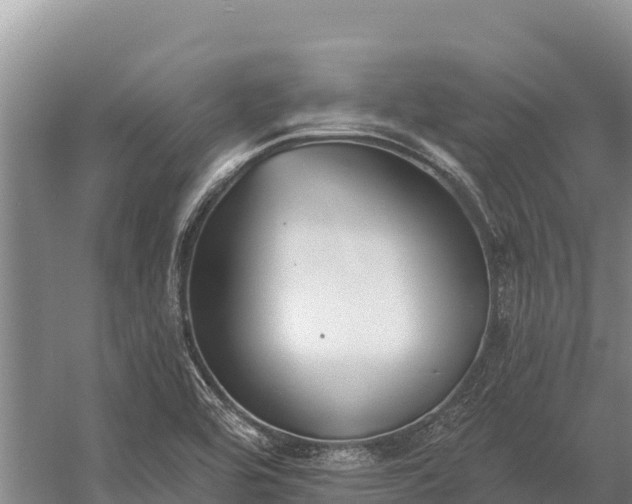 X0000058811464200510071715