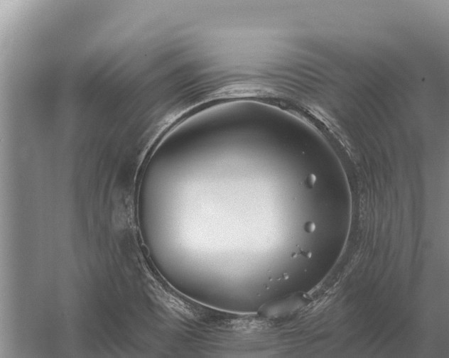 X0000058811465200510071715