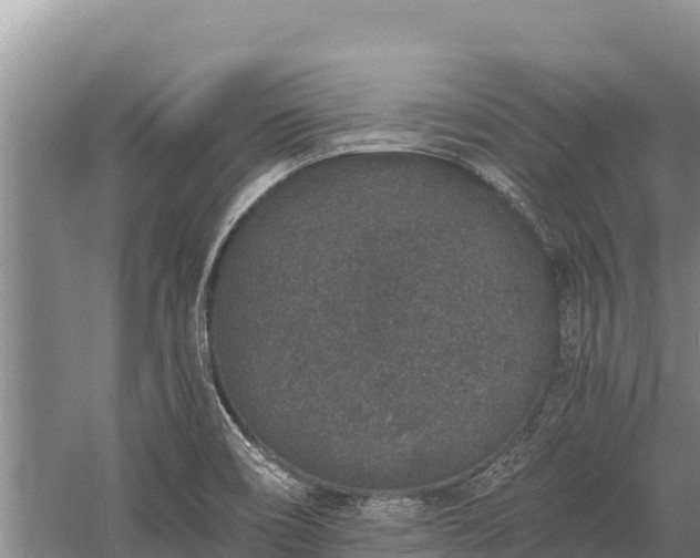 X0000058811466200510071715