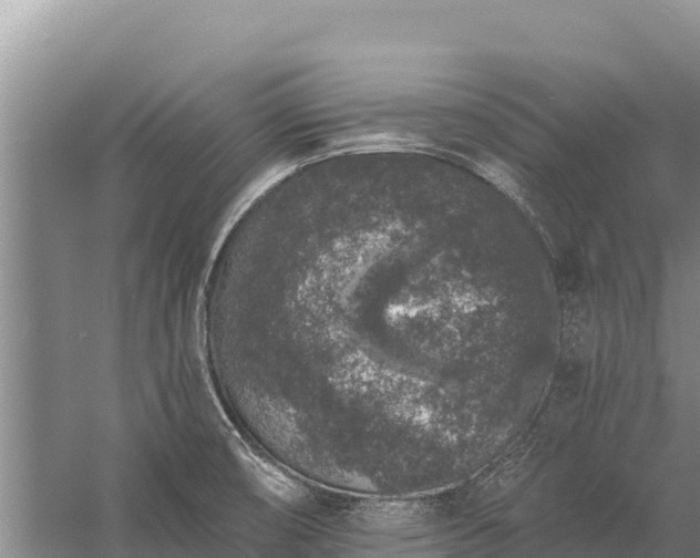 X0000058811474200510071715