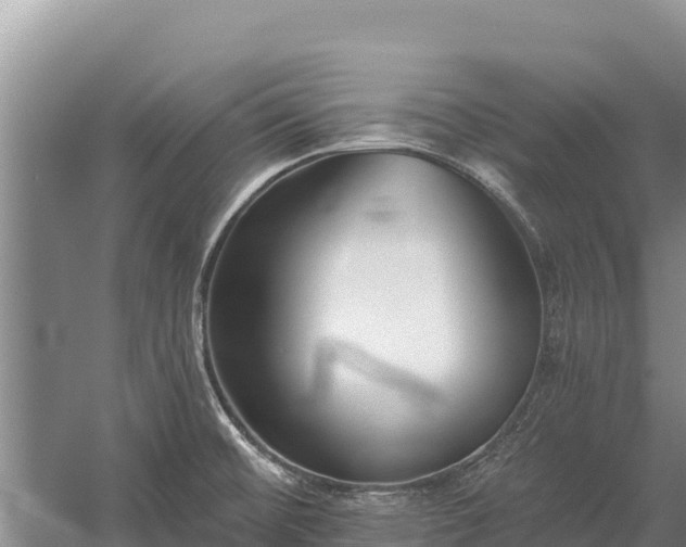 X0000058811476200510071715