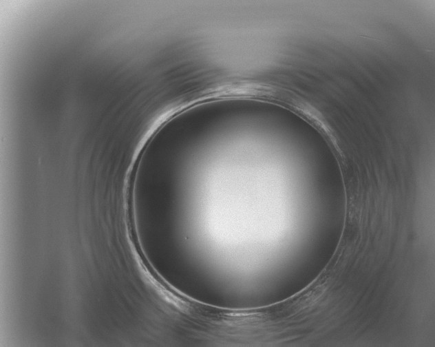 X0000058811483200510071715