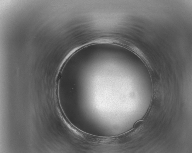 X0000058811484200510071715