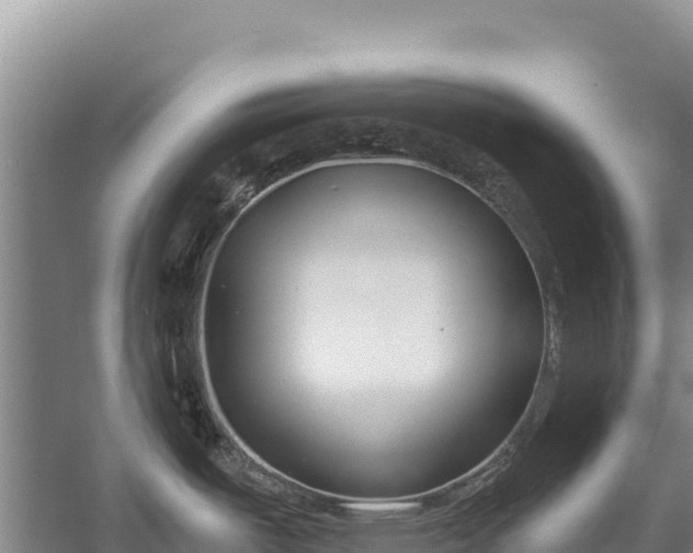 X0000058811487200510071715