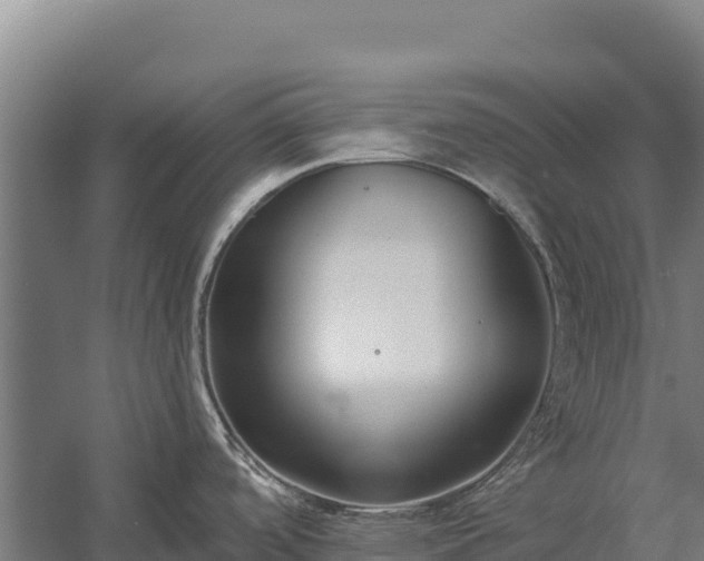 X0000058811488200510071715