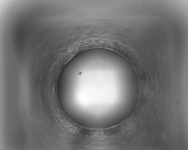 X0000058811489200510071714