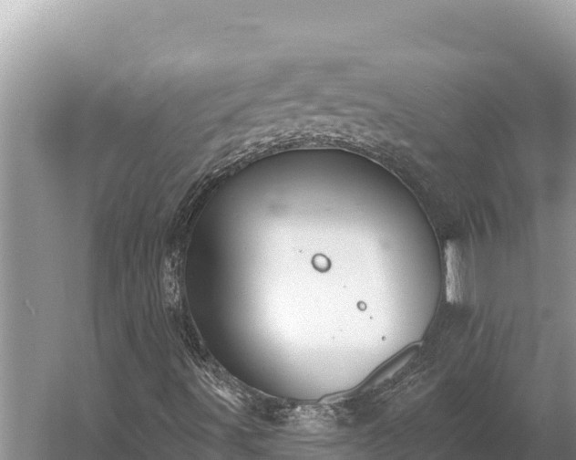 X0000058811491200510071714