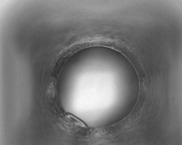 X0000058811493200510071714