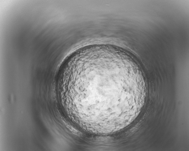 X0000058811498200510071714