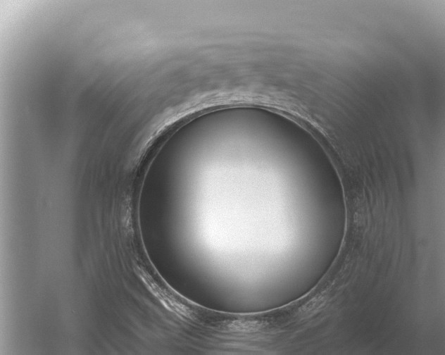 X0000058811499200510071714