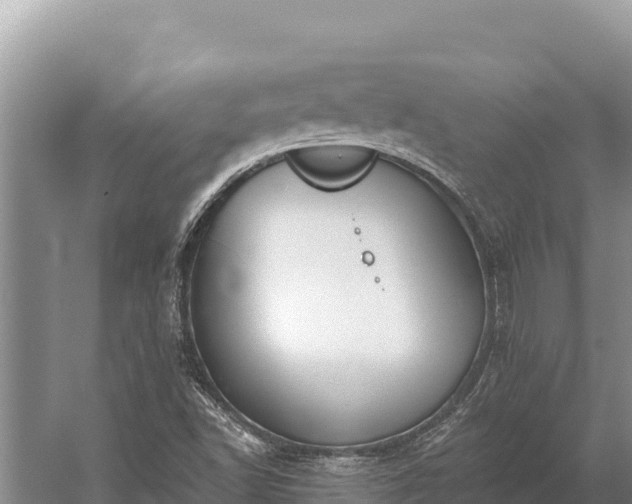 X0000058811502200510071714