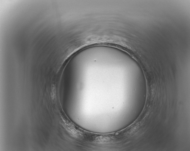 X0000058811505200510071714