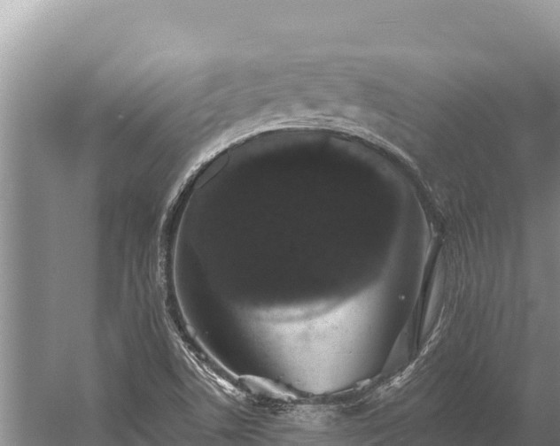 X0000058811506200510071714