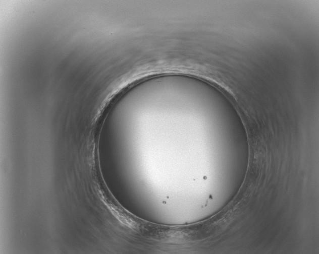 X0000058811507200510071714