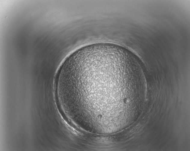 X0000058811508200510071714