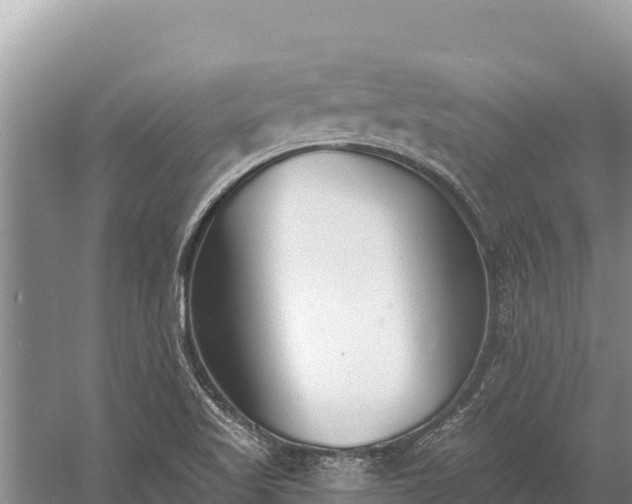 X0000058811509200510071714