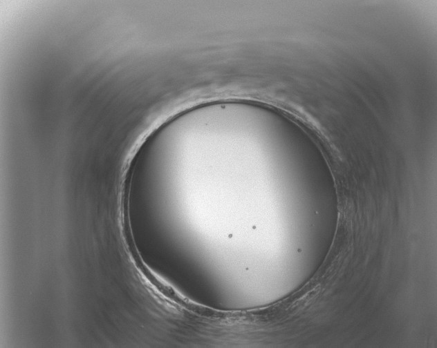 X0000058811512200510071714