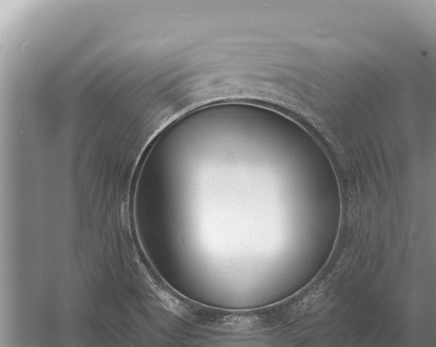 X0000058811513200510071714