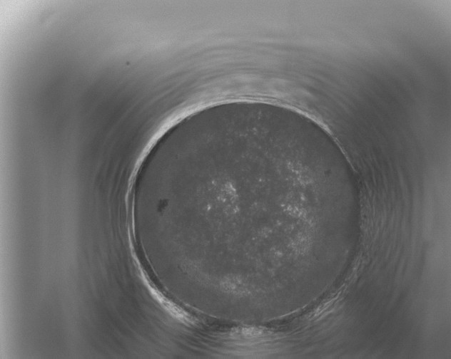 X0000058811515200510071714