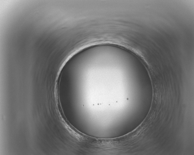 X0000058811516200510071714