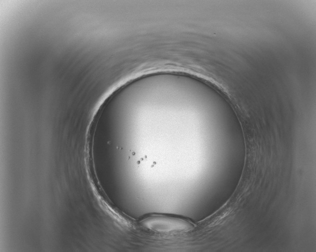 X0000058811518200510071714