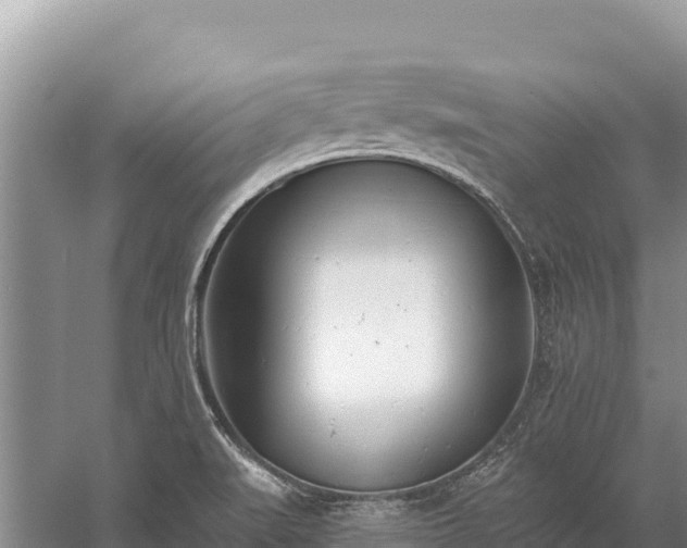 X0000058811519200510071714