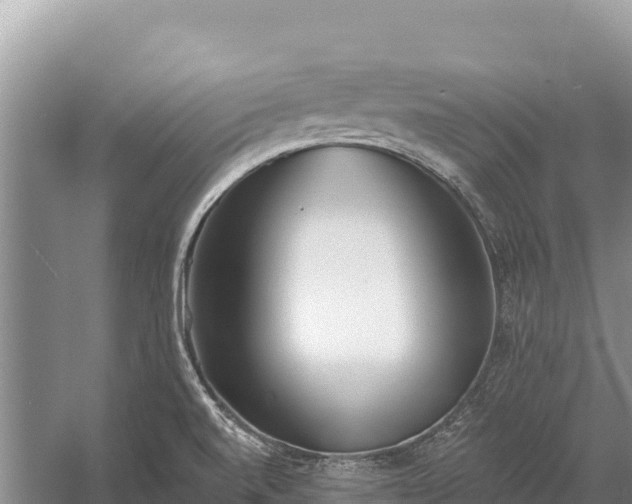 X0000058811520200510071714