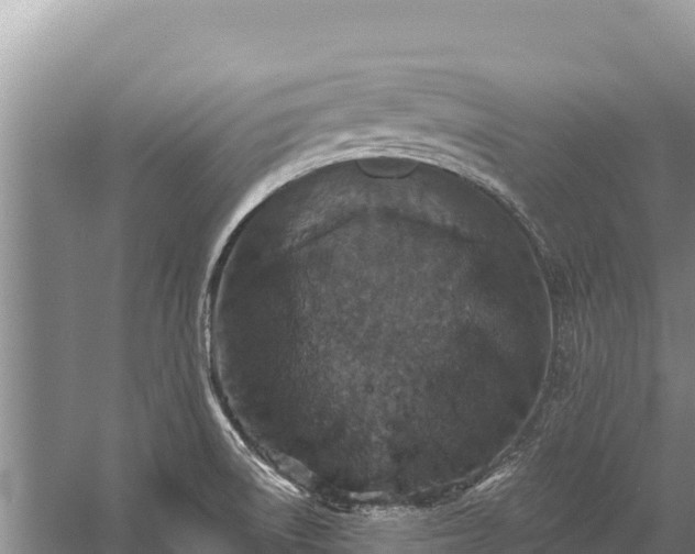 X0000058811522200510071715