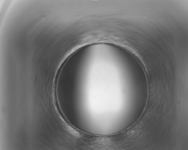 X0000058811525200510071715