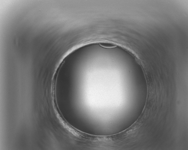 X0000058811526200510071715