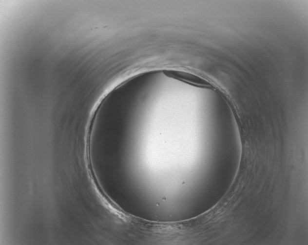 X0000058811528200510071715