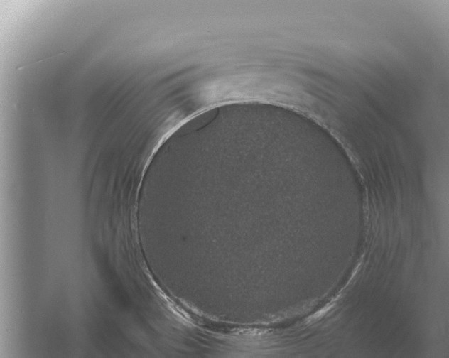 X0000058811529200510071715